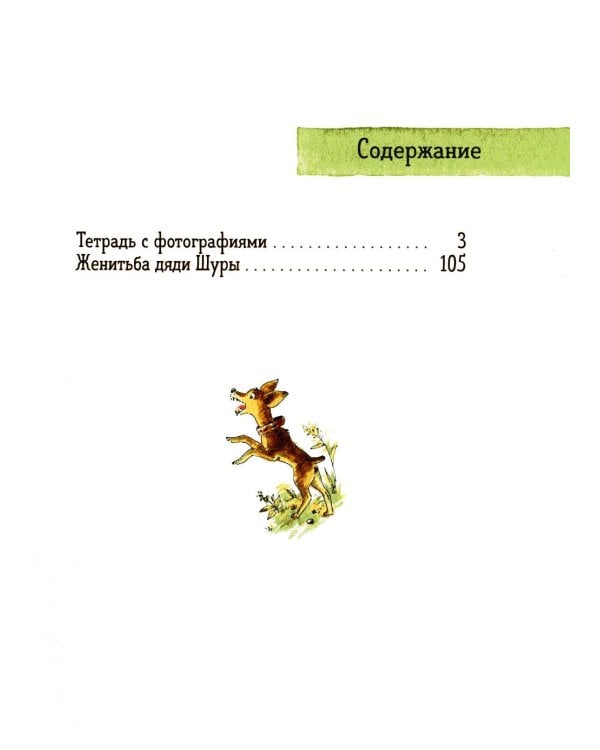 Чудак из шестого "Б": Жизнь и приключения чудака
