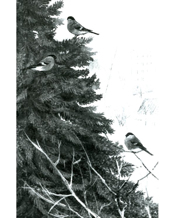 Не забывай меня, лети!