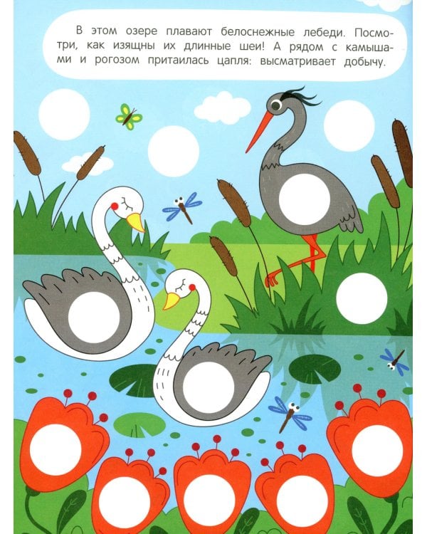 В воде и под водой: книжка с наклейками (96 наклеек)