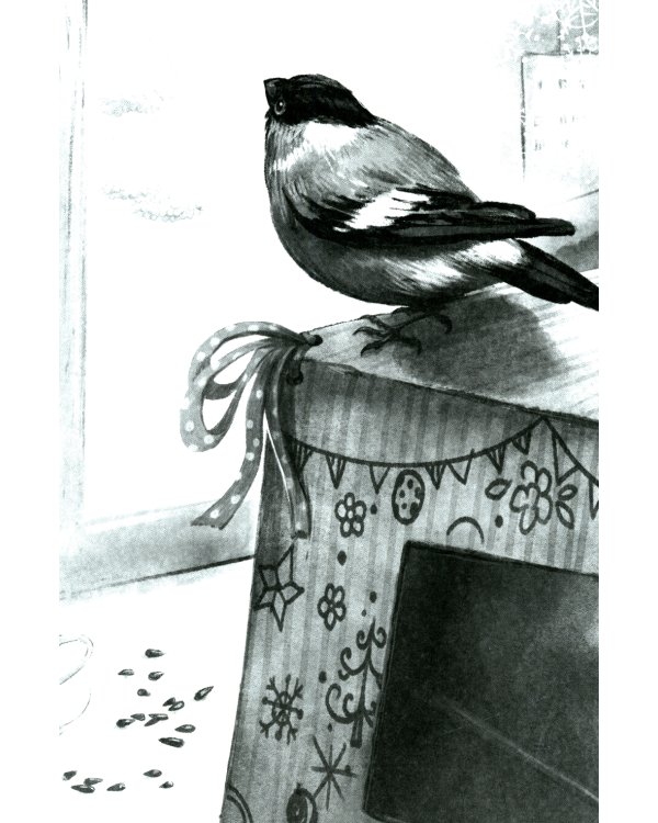 Не забывай меня, лети!