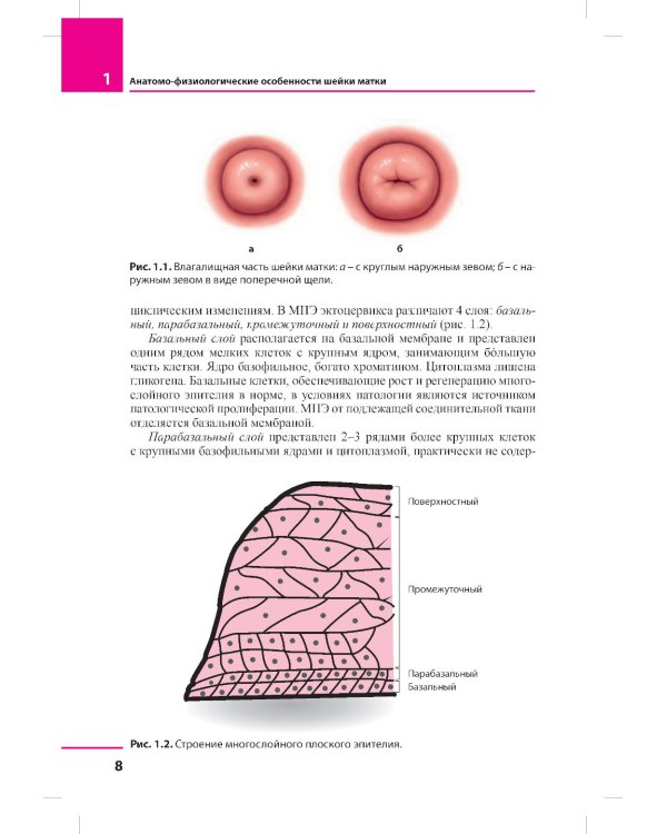 Заболевания шейки матки. Современные подходы к диагностике и лечению: Учебное пособие для врачей