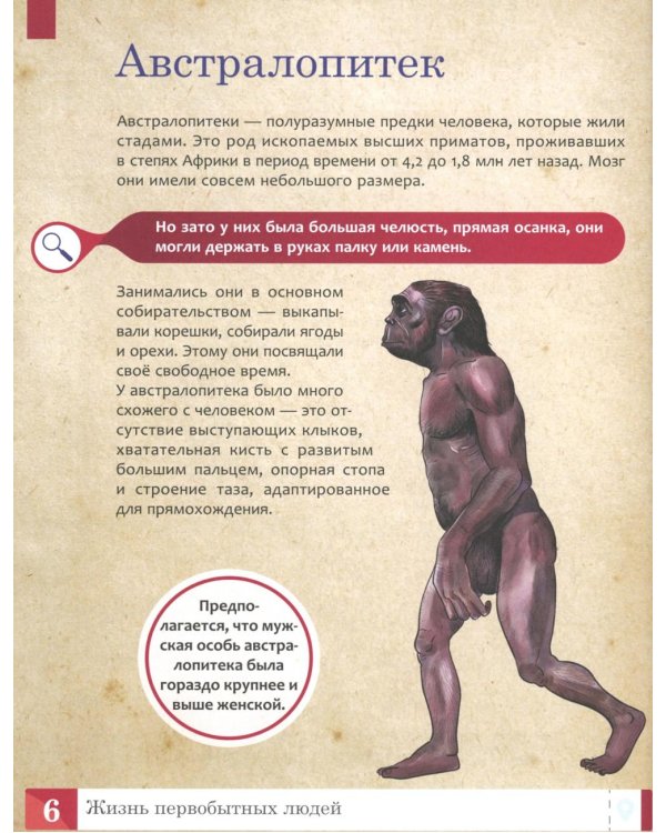 История: энциклопедия