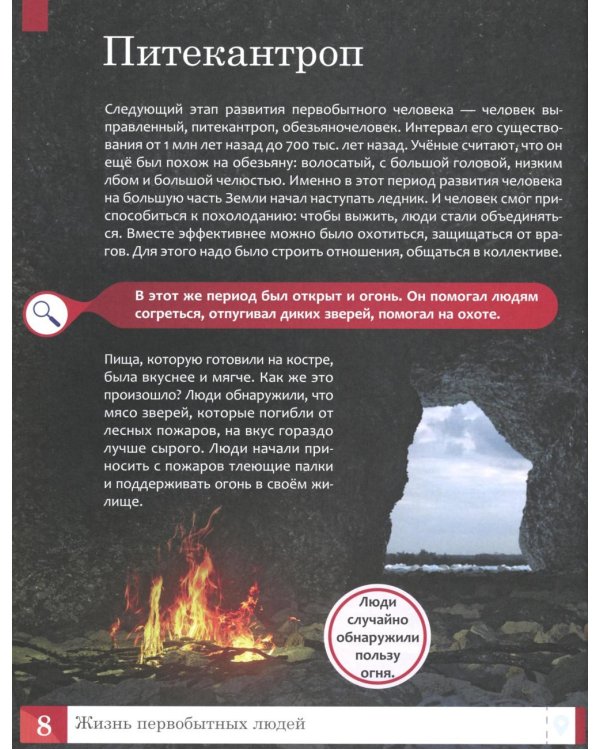 История: энциклопедия