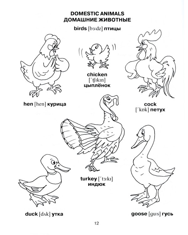 Англо-русский словарик в картинках