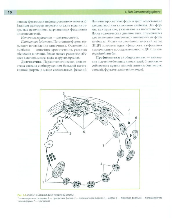 Атлас по медицинской паразитологии: Учебное пособие