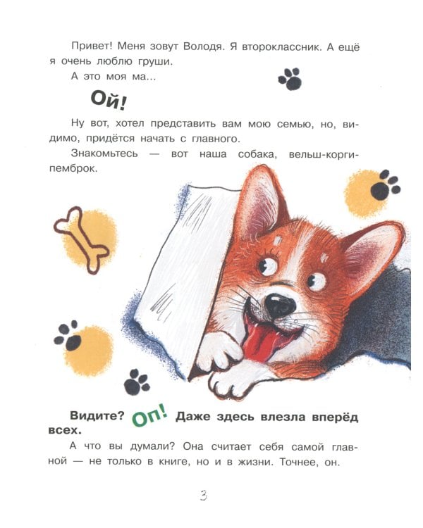 Улисс и носочная фея