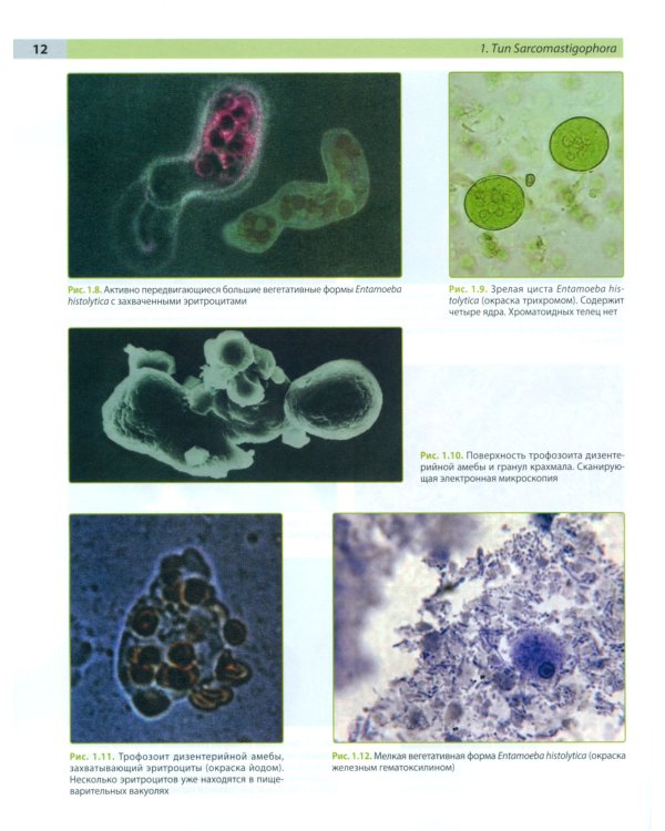 Атлас по медицинской паразитологии: Учебное пособие