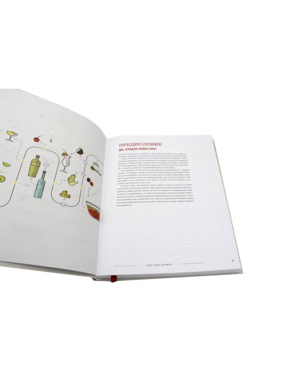 Сам себе бармен. Безошибочный путеводитель по поиску (и приготовлению) идеального коктейля