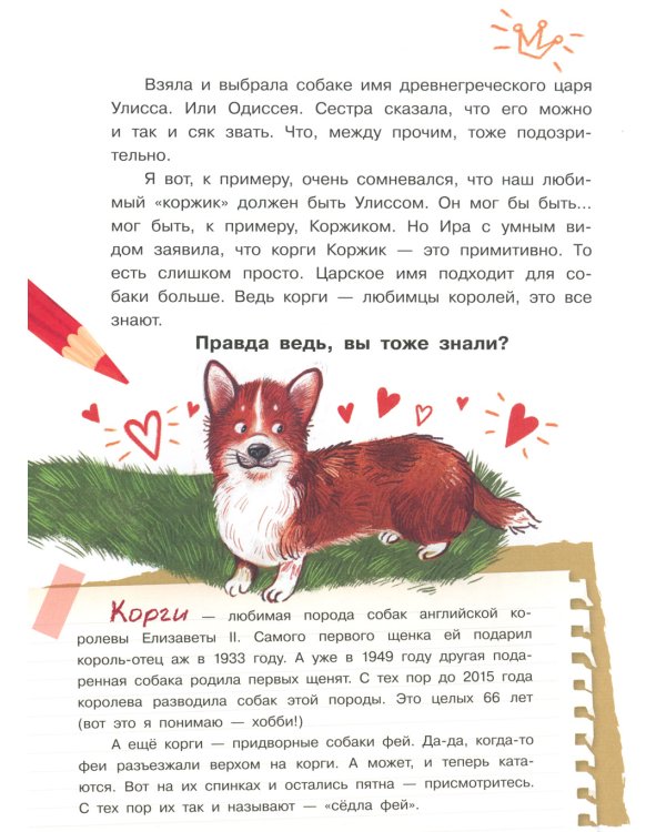 Улисс и носочная фея