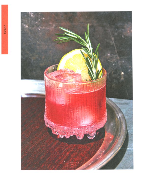 Сам себе бармен. Безошибочный путеводитель по поиску (и приготовлению) идеального коктейля