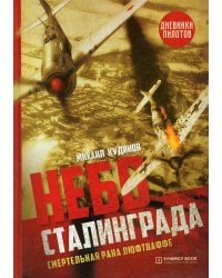 Небо Сталинграда. Смертельная рана люфтваффе