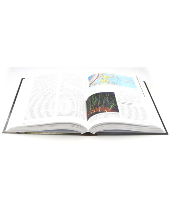 Биология Campbell. Т. 1-3 (комплект)