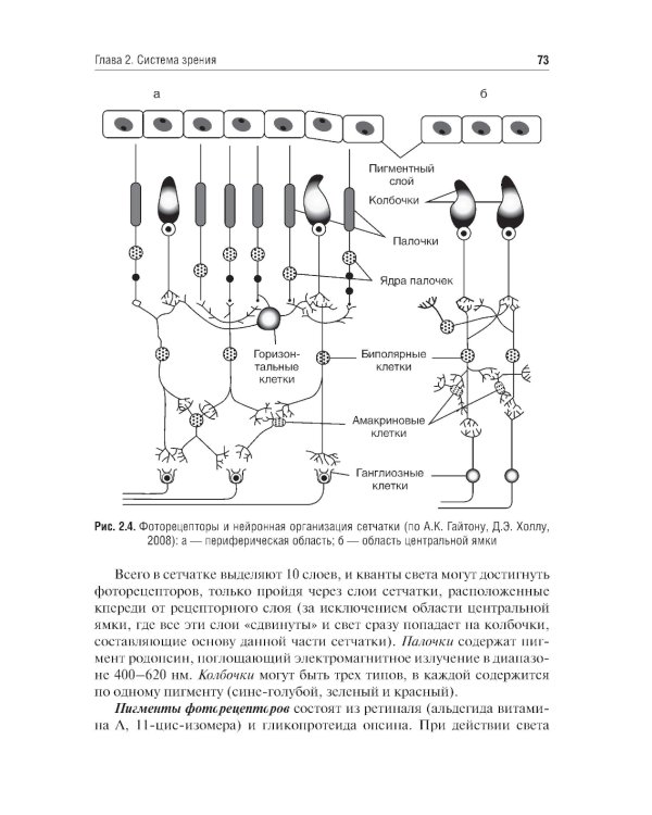 Физиология сенсорных систем. Высшая нервная и психическая деятельность, поведение: учебное пособие. 5-е изд., перераб.и доп