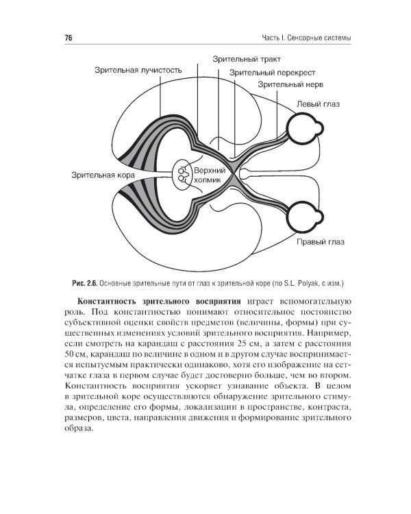 Физиология сенсорных систем. Высшая нервная и психическая деятельность, поведение: учебное пособие. 5-е изд., перераб.и доп