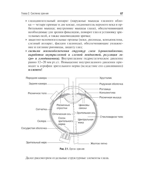 Физиология сенсорных систем. Высшая нервная и психическая деятельность, поведение: учебное пособие. 5-е изд., перераб.и доп