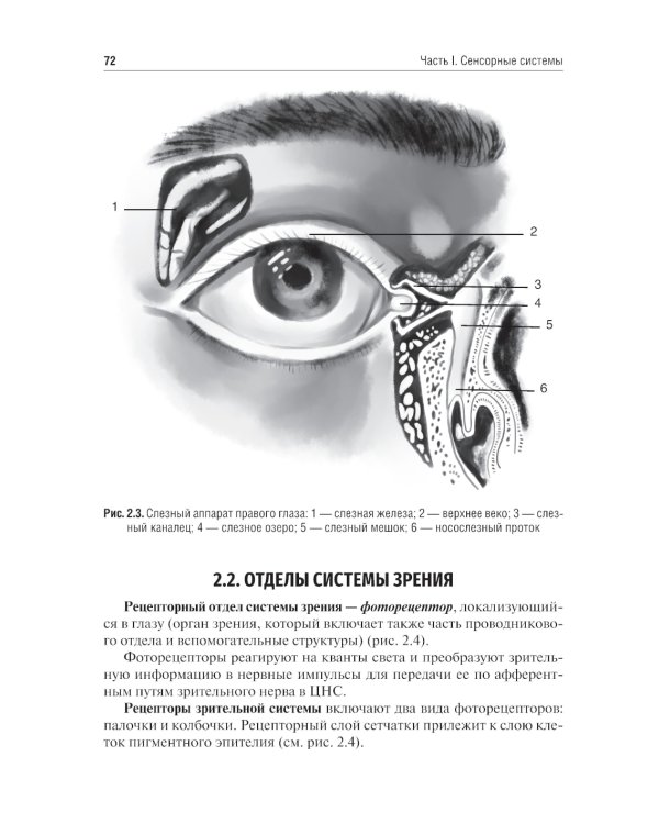 Физиология сенсорных систем. Высшая нервная и психическая деятельность, поведение: учебное пособие. 5-е изд., перераб.и доп