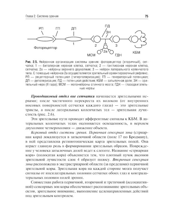 Физиология сенсорных систем. Высшая нервная и психическая деятельность, поведение: учебное пособие. 5-е изд., перераб.и доп