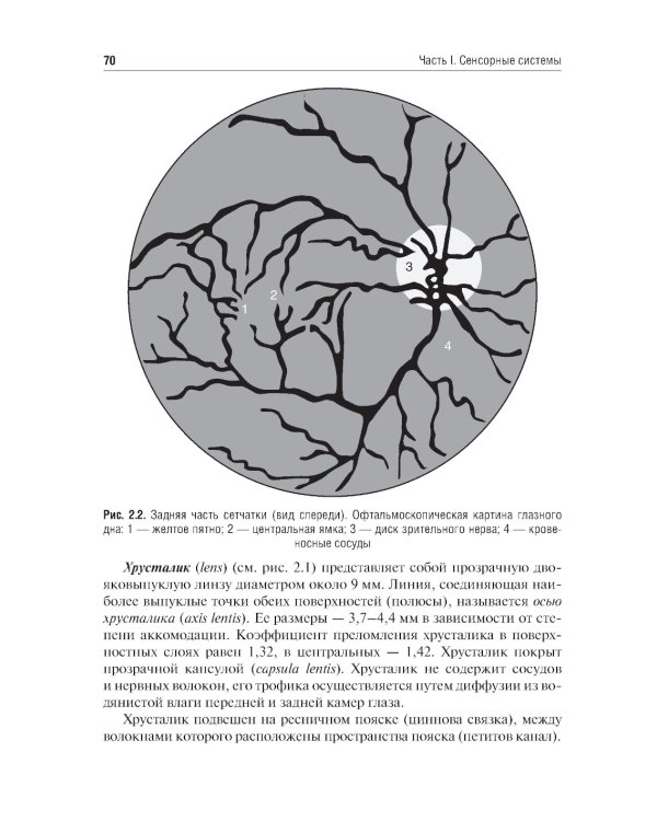 Физиология сенсорных систем. Высшая нервная и психическая деятельность, поведение: учебное пособие. 5-е изд., перераб.и доп