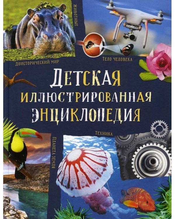 Детская иллюстрированная энциклопедия