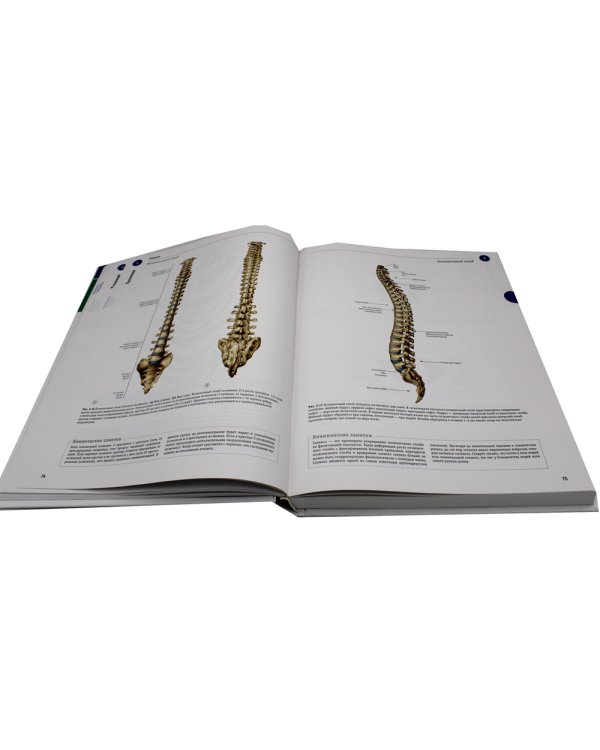 Sobotta. Атлас анатомии человека. В 3 т. Т. 1: Общая анатомия и костно-мышечная система. 2-е изд