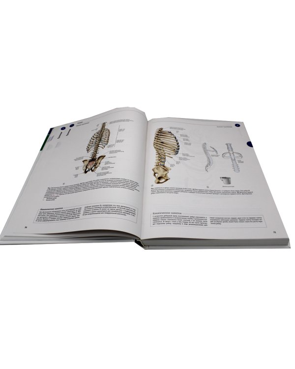 Sobotta. Атлас анатомии человека. В 3 т. Т. 1: Общая анатомия и костно-мышечная система. 2-е изд