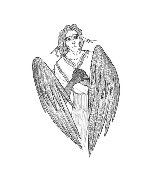 Хроники Вечной Многогранности. Книга порядка