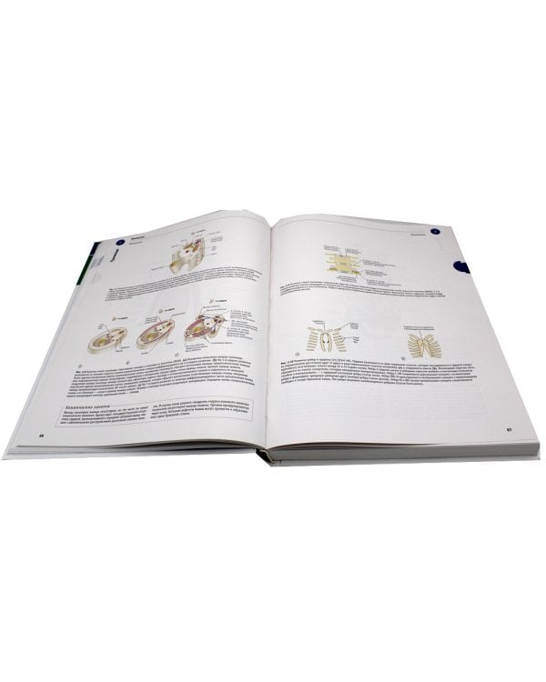 Sobotta. Атлас анатомии человека. В 3 т. Т. 1: Общая анатомия и костно-мышечная система. 2-е изд