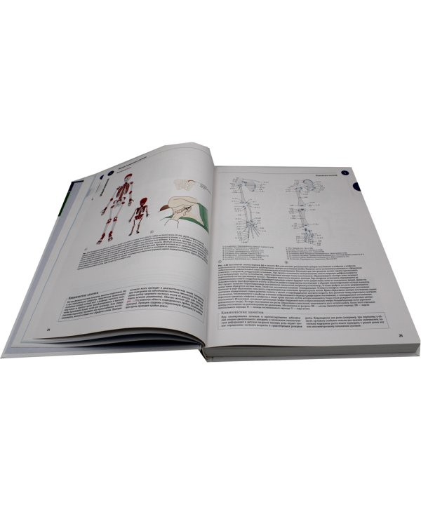 Sobotta. Атлас анатомии человека. В 3 т. Т. 1: Общая анатомия и костно-мышечная система. 2-е изд