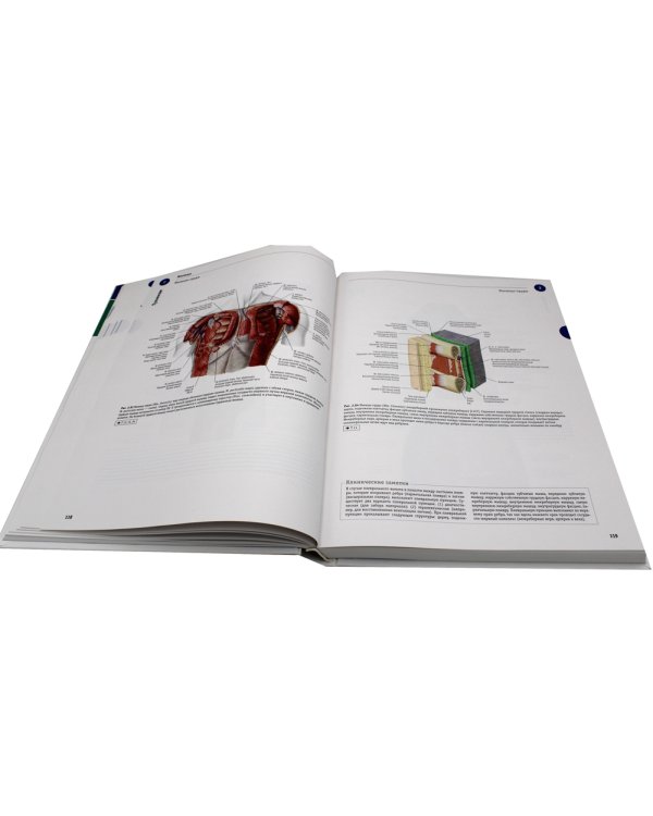 Sobotta. Атлас анатомии человека. В 3 т. Т. 1: Общая анатомия и костно-мышечная система. 2-е изд