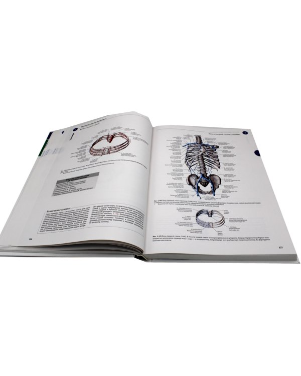 Sobotta. Атлас анатомии человека. В 3 т. Т. 1: Общая анатомия и костно-мышечная система. 2-е изд