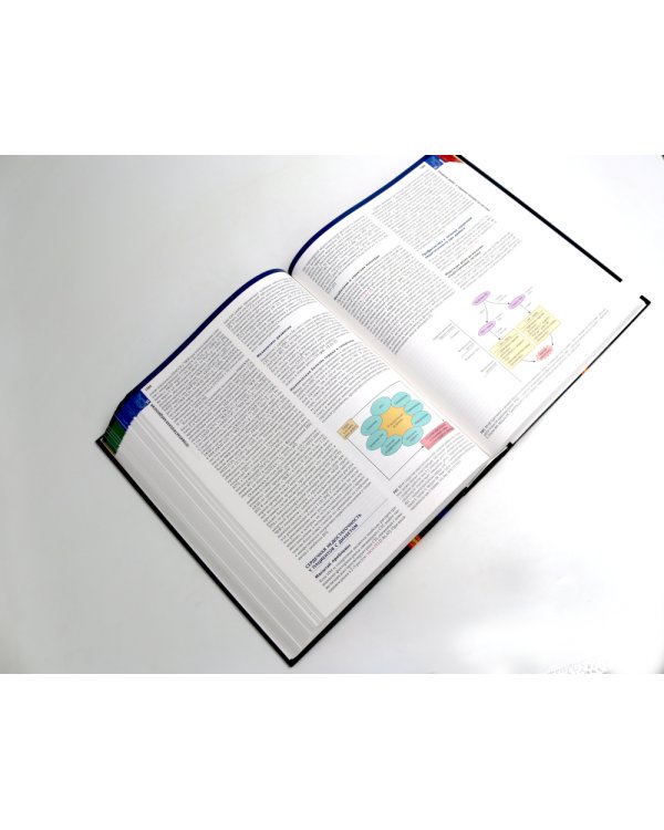 Болезни сердца по Браунвальду. Руководство по сердечно-сосудистой медицине. В 3 т. главы 1- 99 (комплект)