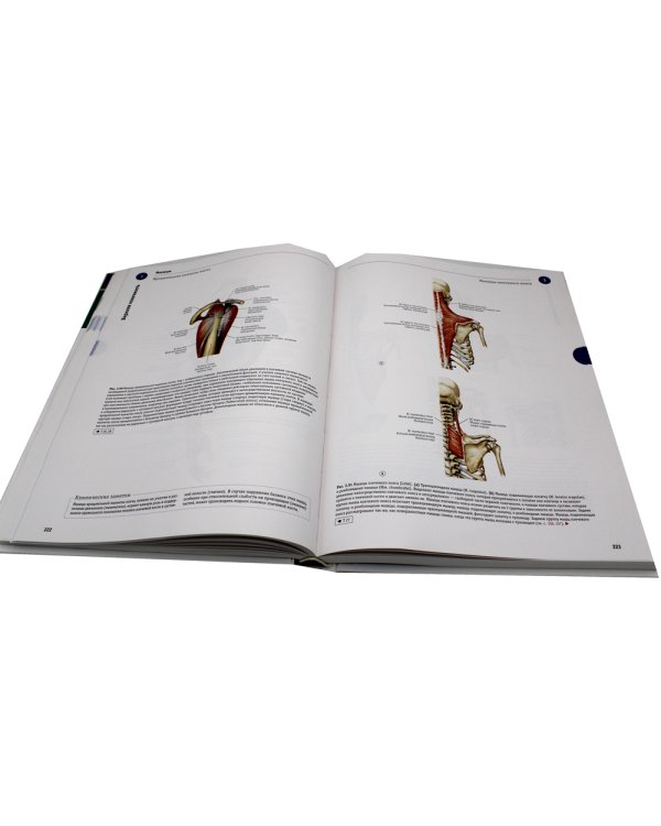 Sobotta. Атлас анатомии человека. В 3 т. Т. 1: Общая анатомия и костно-мышечная система. 2-е изд