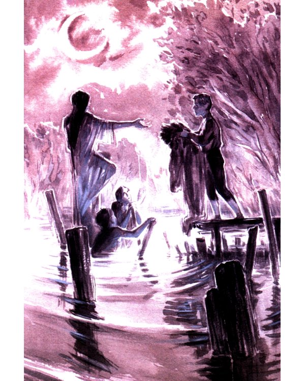 Гербарий путешественника Полянского