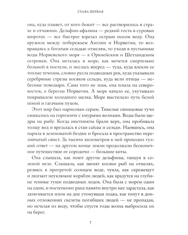 Печать Магуса. Дженни Далфин и Скрытые земли. Кн. 3