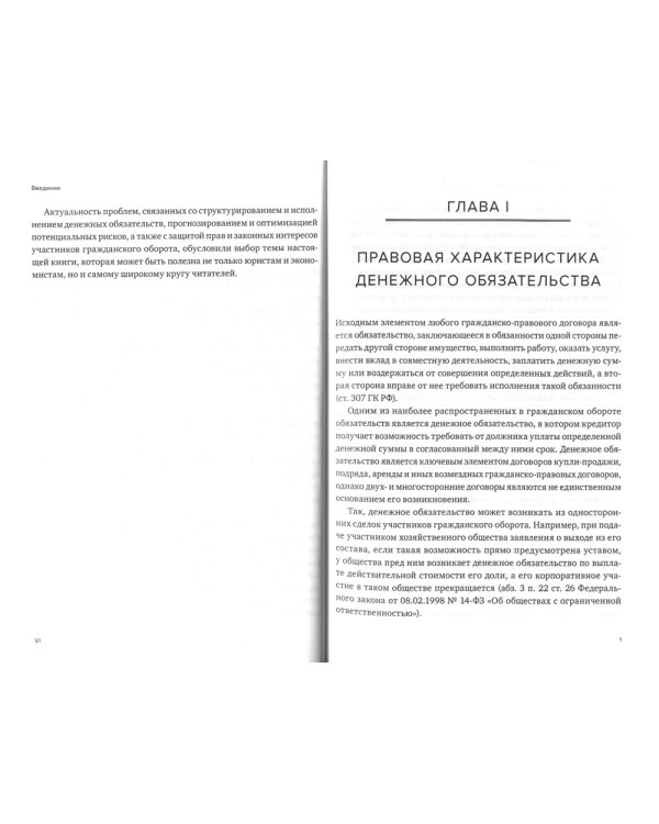 Правовая конструкция денежного обязательства