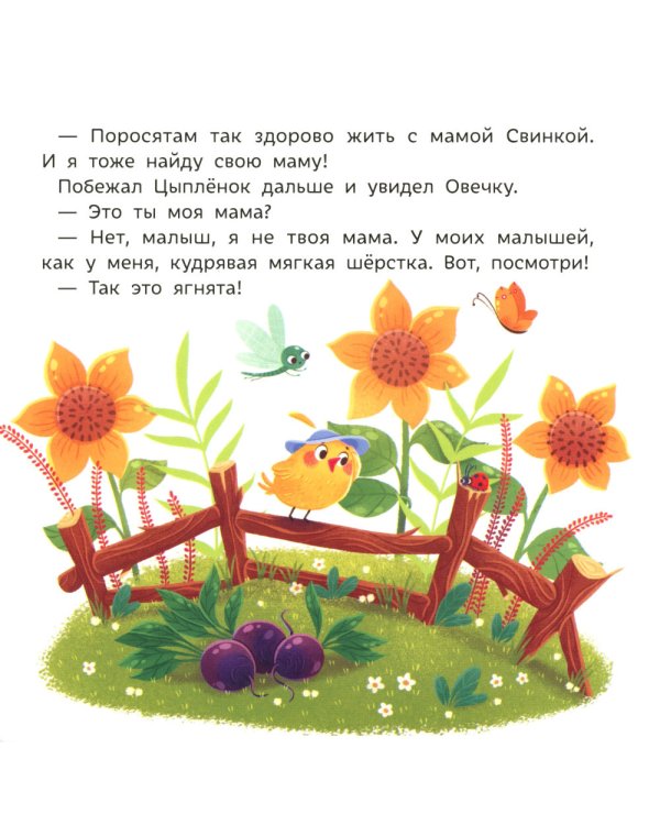 Цыпленок ищет маму. 2-е изд