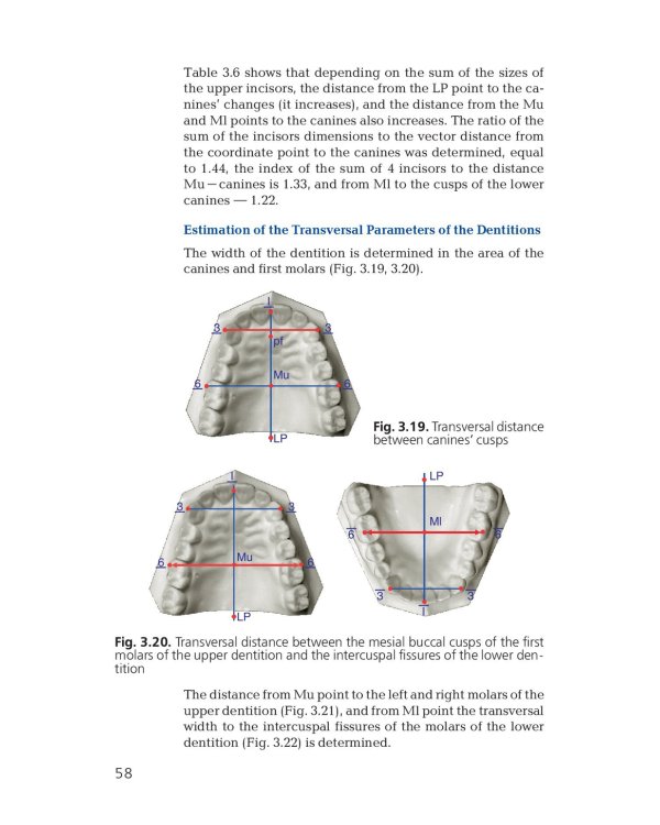 Orthodontics. Modern Methods of Diagnosing Dental Abnormalities, Dentition and Occlusion: tutorial: на англ.яз