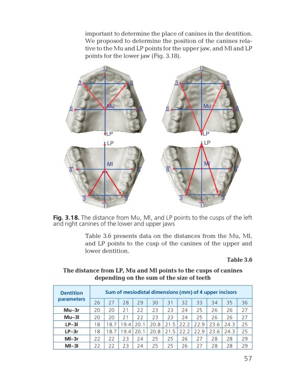 Orthodontics. Modern Methods of Diagnosing Dental Abnormalities, Dentition and Occlusion: tutorial: на англ.яз
