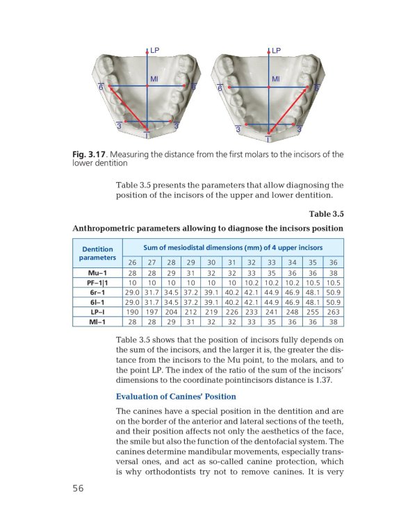 Orthodontics. Modern Methods of Diagnosing Dental Abnormalities, Dentition and Occlusion: tutorial: на англ.яз