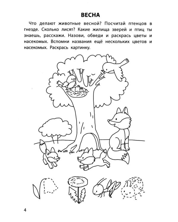 Обучающие раскраски: 4-5 лет: времена года