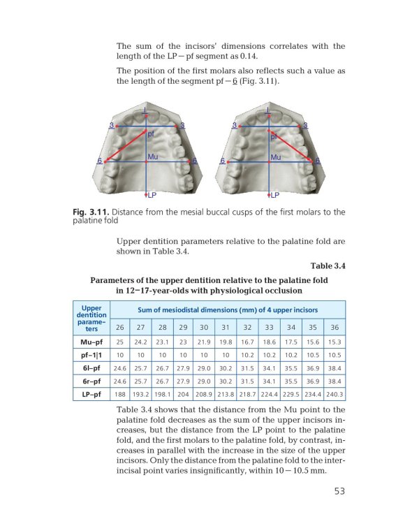 Orthodontics. Modern Methods of Diagnosing Dental Abnormalities, Dentition and Occlusion: tutorial: на англ.яз