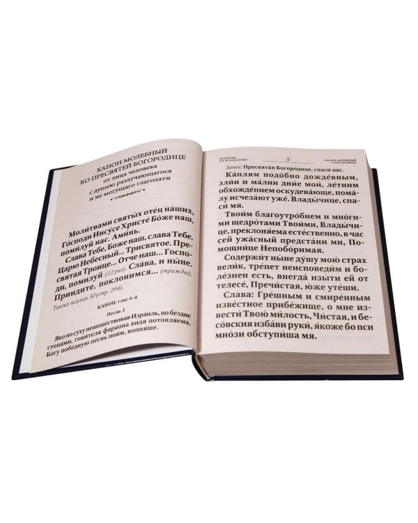 Псалтирь и Каноны по усопшим для слабовидящих: крупный шрифт