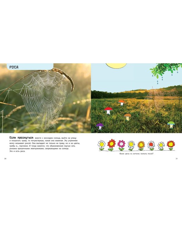 От града до торнадо. Прекрасные и опасные явления природы