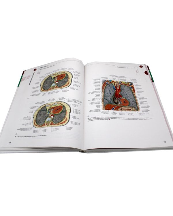 Sobotta. Атлас анатомии человека. В 3 т. Т. 2: Внутренние органы. 2-е изд