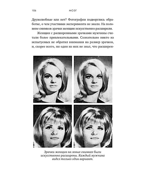 Мозг. Ваша личная история