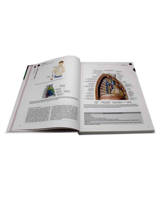 Sobotta. Атлас анатомии человека. В 3 т. Т. 2: Внутренние органы. 2-е изд