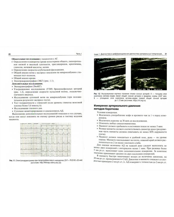 Актуальные вопросы кардиологии: Учебное пособие