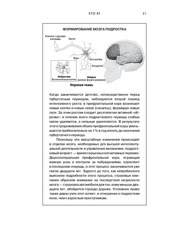 Мозг. Ваша личная история