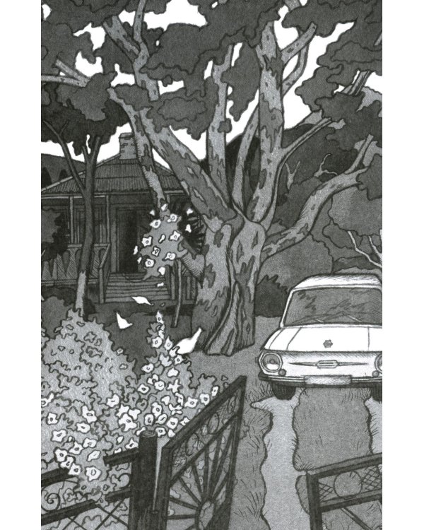 Брат мой Бзоу