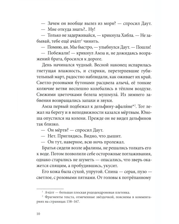 Брат мой Бзоу